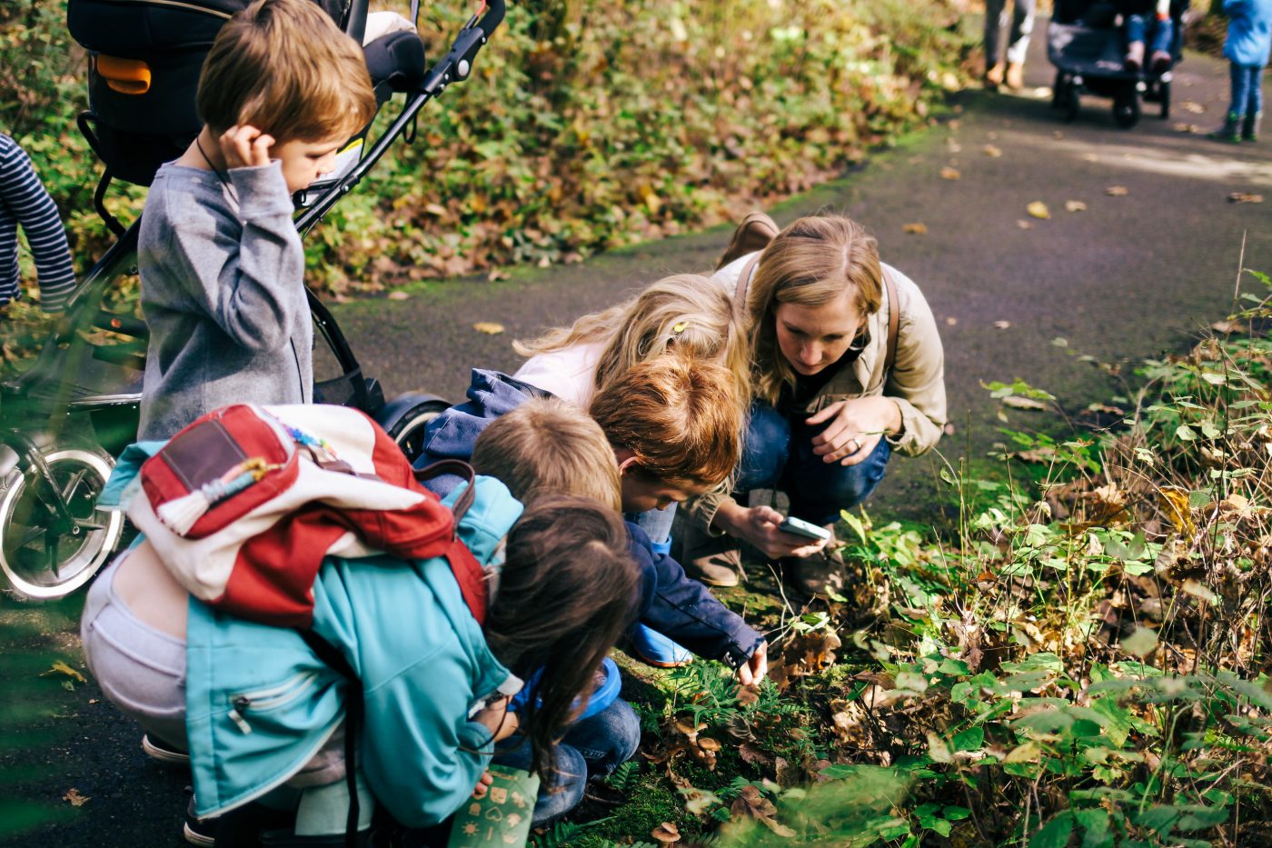 Make the Most of Family Nature Walks