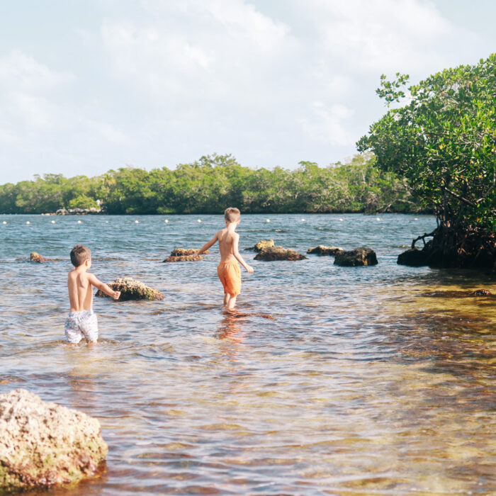 Biscayne National Park | Study + Travel Guide