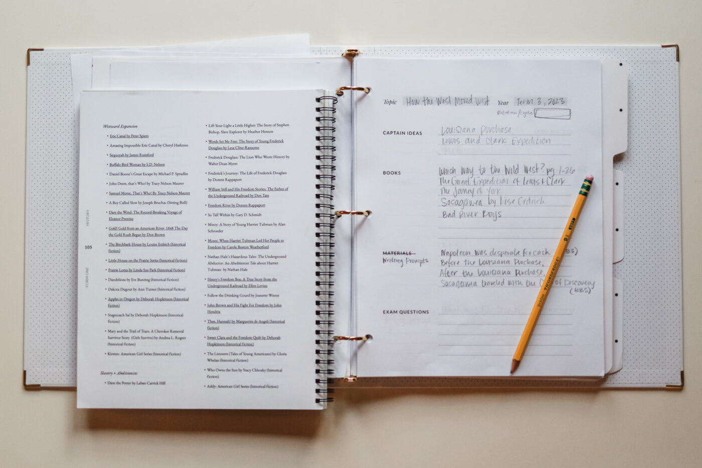 How to Create a Customized Learning Plan (AKA Curriculum) | Week 9