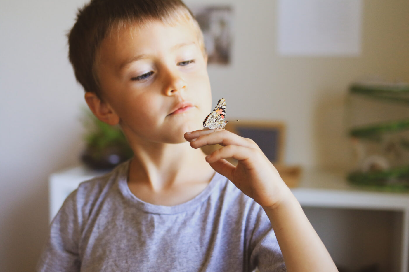 Special Study Topics and Object Lessons in Nature Study