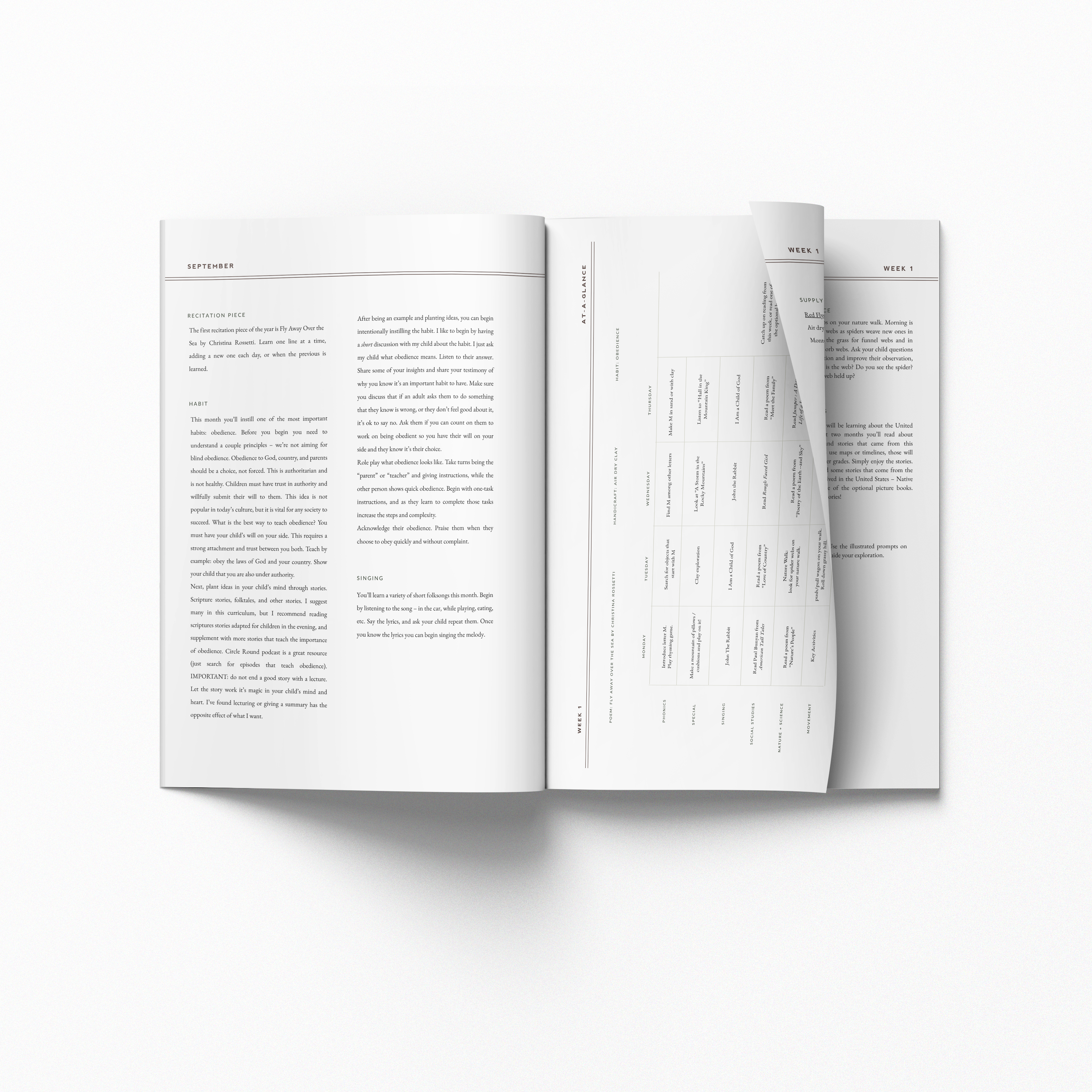 Kindergarten Curriculum *PREORDER* - Image 2